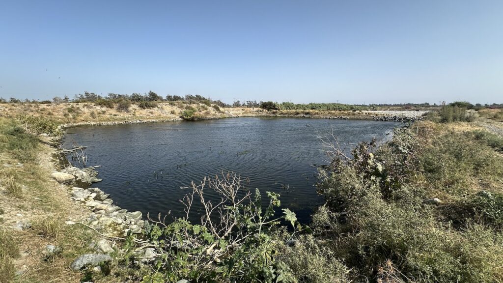 Infiltration pond of the Akrotiri MAR scheme in Cyprus